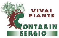 Vivai Piante Contarin Sergio